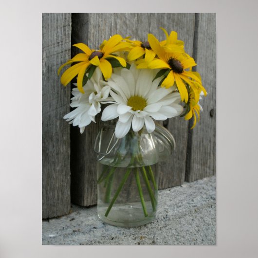 Jar of Daisies & Black Mit Augen Susans Poster (Vorne)