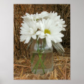 Jar of Daisies & Hay Poster (Vorne)
