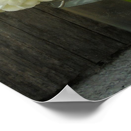 Jar von Hydrangeas & Barnholzplakat Poster (Ecke)