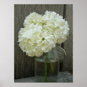 Jar von Hydrangeas & Barnholzplakat Poster