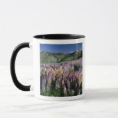 JARBIDGE WILDERNESS, NEVADA. USA. Lupine Tasse (Links)