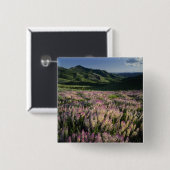 Jarbridge Wilderness and Mountains, Nevada, Spur Button (Vorne & Hinten)