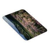 Jarbridge Wilderness and Mountains, Nevada, Spur Magnet (Rechte Seite)