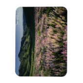 Jarbridge Wilderness and Mountains, Nevada, Spur Magnet (Vertikal)