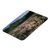 Jarbridge Wilderness and Mountains, Nevada, Spur Magnet (Linke Seite)