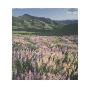 Jarbridge Wilderness and Mountains, Nevada, Spur Notizblock