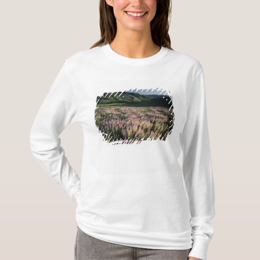 Jarbridge Wilderness and Mountains, Nevada, Spur T-Shirt (Vorderseite)