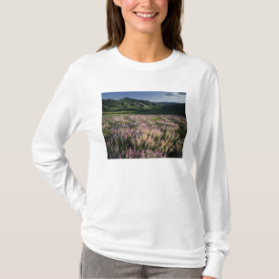 Jarbridge Wilderness and Mountains, Nevada, Spur T-Shirt