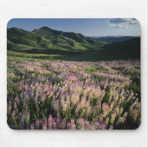 Jarbridge Wilderness und Berge, Nevada, Sporn Mousepad