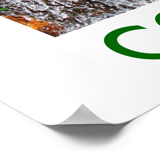 JARDIN BOTANICO, MARSELLA POSTER (Ecke)