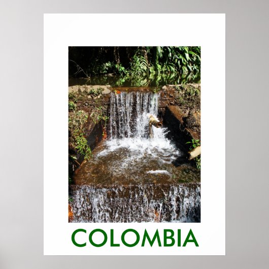 JARDIN BOTANICO, MARSELLA POSTER (Vorne)