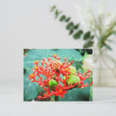 Jardín Botánico Piñeres, Turbaco, Kolumbien Postkarte (Stehend Vorderseite)