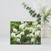 Jardin d'Éden Postkarte (Stehend Vorderseite)