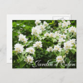 Jardin d'Éden Postkarte (Vorne/Hinten)