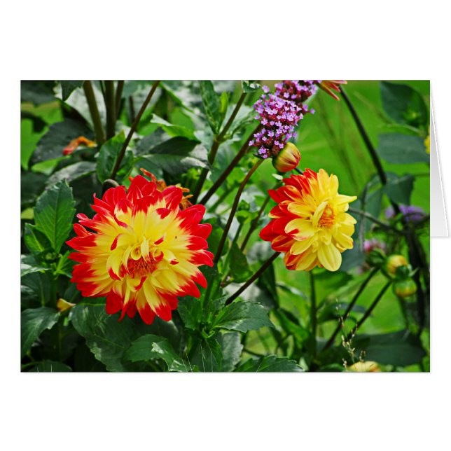 Jardin des Plantes-2 (Vorderseite (Horizontal))