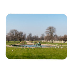 Jardin des Tuileries im Winter - Paris Magnet