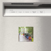 Jardin Majorelle, Majorelle Garden, jetzt öffentli Magnet (In Situ (Geschirrspüler))