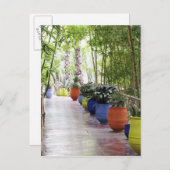 Jardin Majorelle, Majorelle Garden, jetzt öffentli Postkarte (Vorne/Hinten)