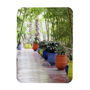 Jardin Majorelle, Majorelle-Garten, jetzt öffentli Magnet