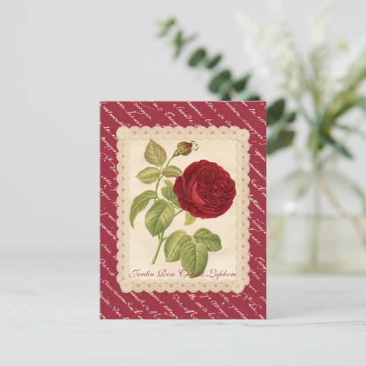 Jardin Rose Charles Lefebvre Postkarte (Stehend Vorderseite)