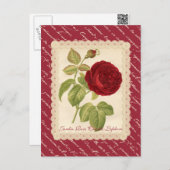 Jardin Rose Charles Lefebvre Postkarte (Vorne/Hinten)