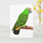 Jardines Papageien-Gruß-Karte Karte (Gelbe Blume)