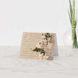 Jasmin auf altem Skripthandschrift notecard Karte