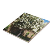 Jasmin-Baum Fliese (Seite)