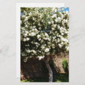 Jasmin-Baum in der Blüte Briefpapier (Vorne/Hinten)