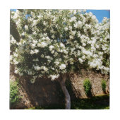 Jasmin-Baum in der Blüte Fliese (Vorderseite)