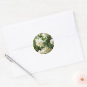 Jasmin-Blume schließen Runder Aufkleber (Umschlag)