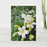 Jasmin in der Regen-besonders