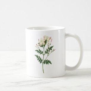 Jasmin (Jasminum grandiflorum) durch Redouté Kaffeetasse
