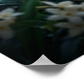 Jasmin Leopard Mond Blüte Poster (Ecke)