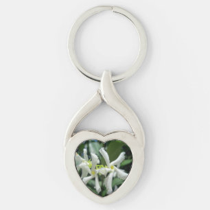 Jasmin-weiße Rohr-Blume Schlüsselanhänger