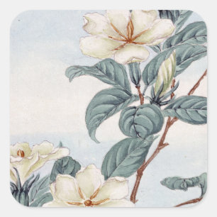 Jasminblüten (Vintage japanische Kunst) Quadratischer Aufkleber