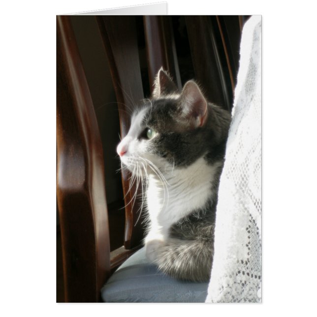 ‚Jasmine‘ (2) (Vorne)