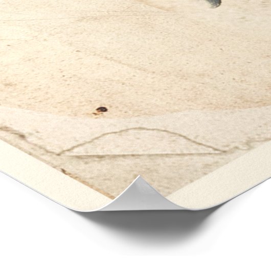 Jasmine Antique Botanic Print Poster (Ecke)