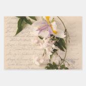 Jasmine auf alte Handschrift Geschenkpapier Set (Vorderseite 2)