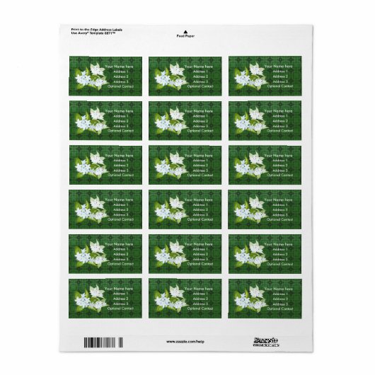 Jasmine-Blume anpassbar Adressaufkleber (Vorne)