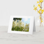 Jasmine-Blume Karte (Gelbe Blume)