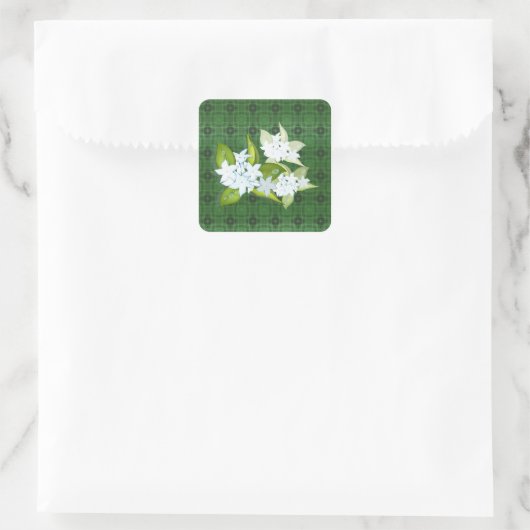 Jasmine-Blume mit benutzerdefinierbarem Namen Quadratischer Aufkleber (Tasche)