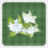 Jasmine-Blume mit benutzerdefinierbarem Namen Quadratischer Aufkleber (Vorderseite)