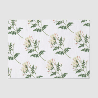 Jasmine Blume Pattern Seidenpapier