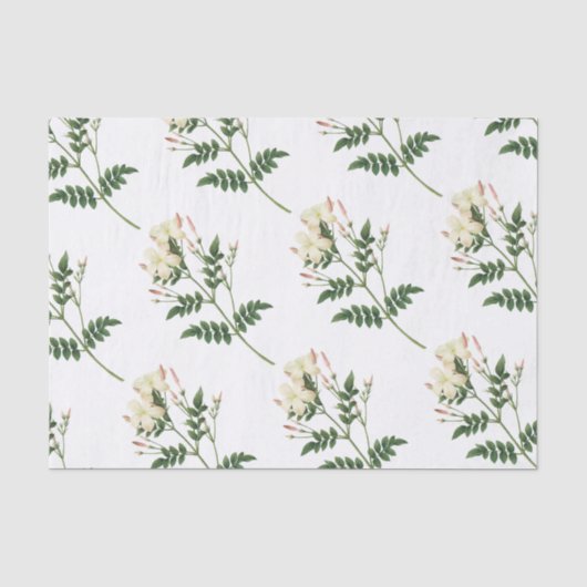Jasmine Blume Pattern Seidenpapier (Vorderseite)