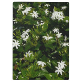 Jasmine Blume Tropical Floral Botanic Klemmbrett (Rückseite)