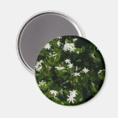 Jasmine Blume Tropical Floral Botanic Magnet (Vorderseite/Rückseite)