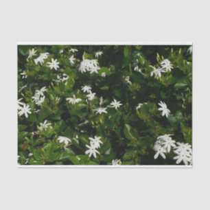 Jasmine Blume Tropical Floral Botanic Seidenpapier