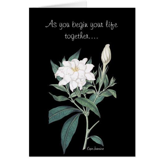 Jasmine Blume Wedding (Vorne)