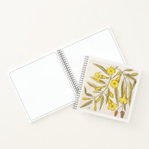 Jasmine Botanical Skizzenbuch Kunst 18. Jahrhunder Notizblock